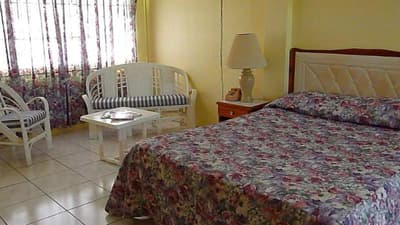 The Royal Palm Suite