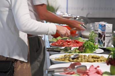 Hotel Catty Cats Garden