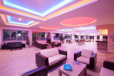 Hotel Catty Cats Garden