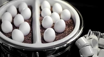 Good Morning Hotels Stockholm Kista