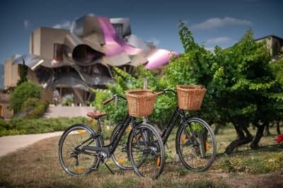 Hotel Marques de Riscal, a Luxury Collection Hotel