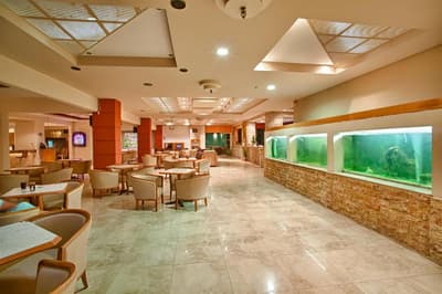 Ilios & Farming Hotel