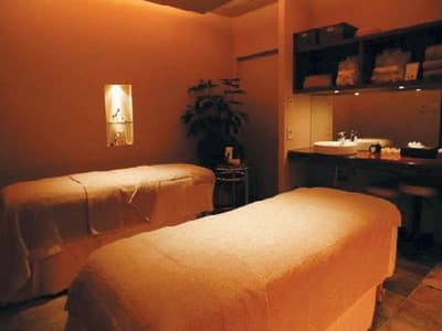 The Prince Park Tower Tokyo