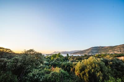 Pervanovo Apartments