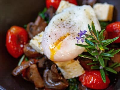 Future Found Sancturary