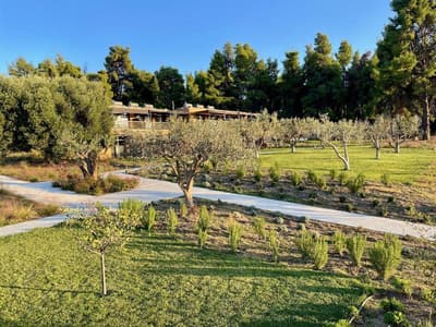 Sani Verde