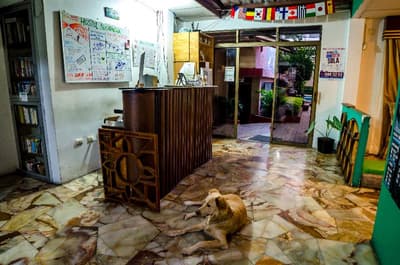 Hostel Nucapacha