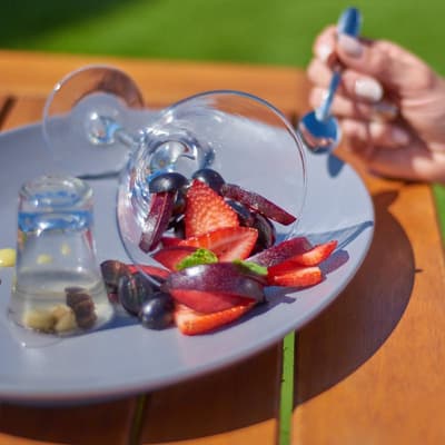 Hotel Termas Victoria Wellness Spa