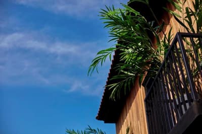 The Local House Alacati