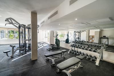 Marsenses Ferrera Blanca Adults Only