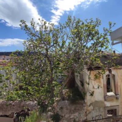 Kidoni Macaron Guesthouse