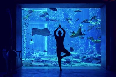 Atlantis The Palm