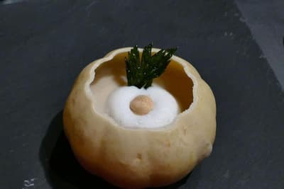 Chambres D Hotes A L Ombre Du Saule