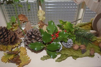 Le Nid De L Ecureuil