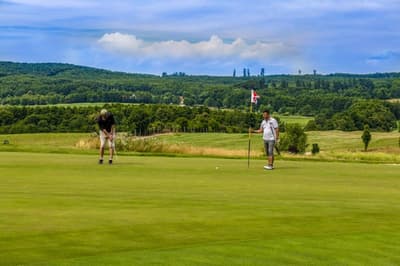 Forest Hills Hotel & Golf Zirc