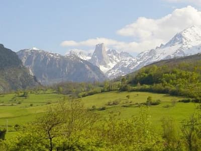 Picos de Europa