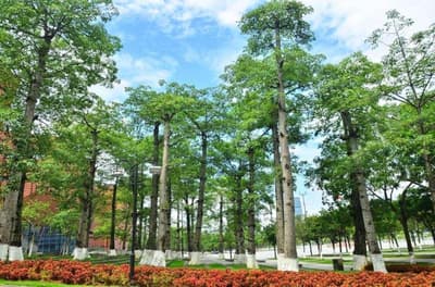 Baiyun Int'L Convention Centre Hotel