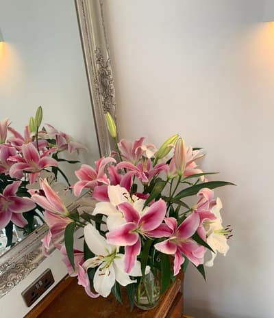 Ashfield Boutique Stays