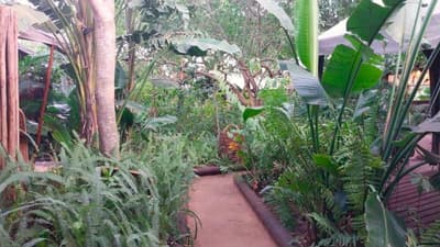 DEVOCEAN Lodge