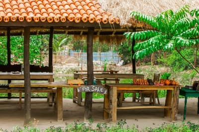 Backpackers Eco Village