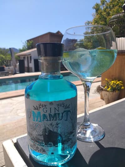 El Violin Experiencia