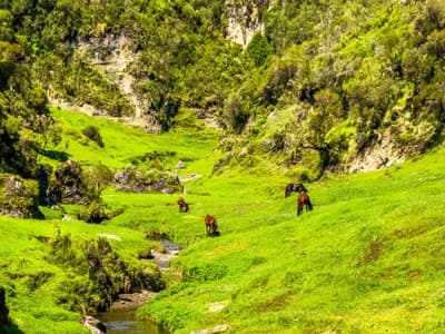 Wanchi Ija Eco Lodge By Ethiopian Skylight