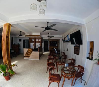 The Turtle Hive Maldives Velaavani Dhiffushi