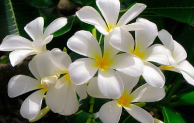 Douglas Highway Hotel