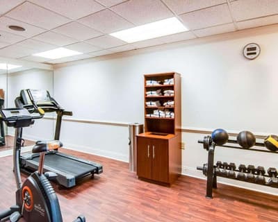 Comfort Suites Inn at Ridgewood Farm