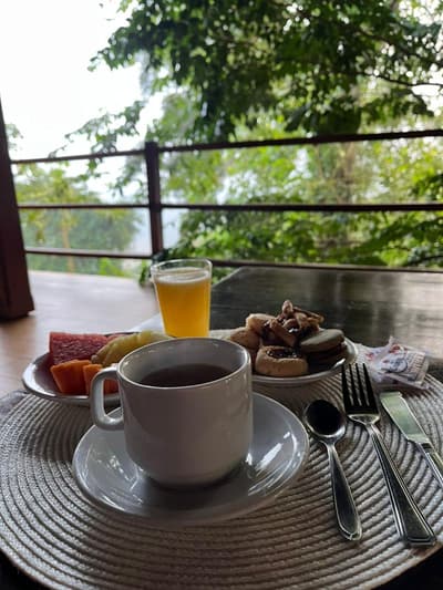 Botanica The House Experience