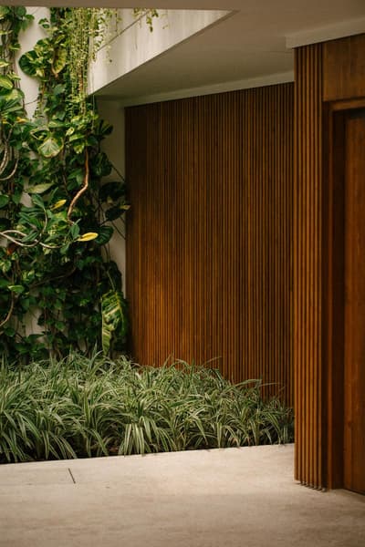 The Charleston Galle