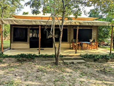 Double G Safaris And Camp Mikumi