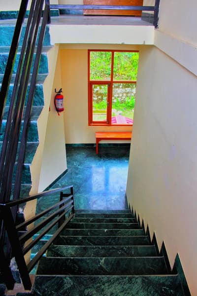 The Jungle Story By Headquarter