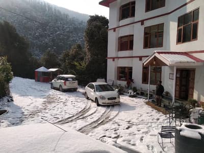 The Jungle Story By Headquarter