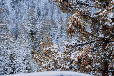 Intercontinental Jiuzhai Paradise