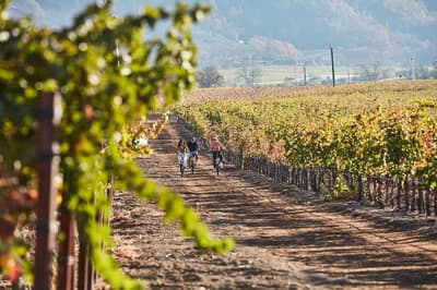 Solage Calistoga