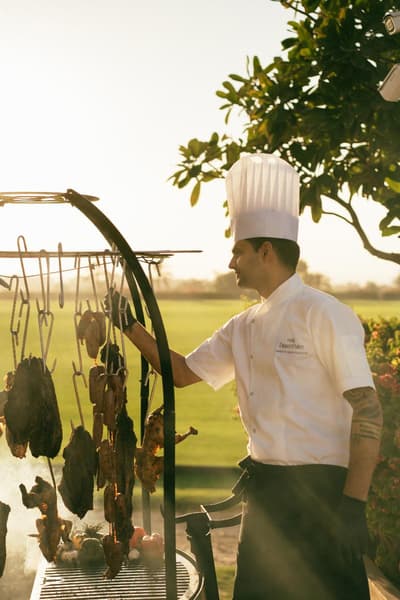 Melia Desert Palm Member of Melia Collection