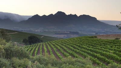 Asara Wine Estate