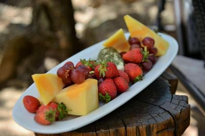 Tshukudu Bush Lodge