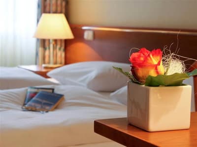 Victor`s Residenz-Hotel Gera