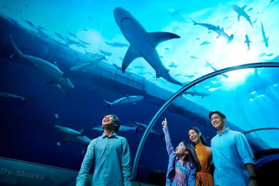 Resorts World Sentosa - Hotel Michael