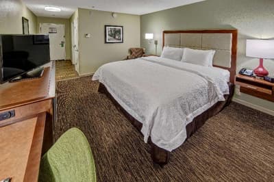 Hampton Inn Savannah - I-95 North