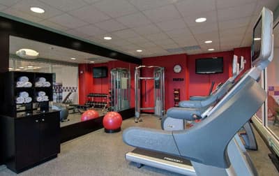 Hilton Garden Inn Detroit Metro Airport