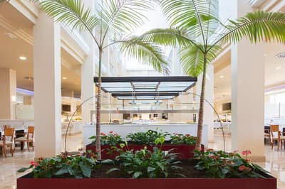 Hipotels  Playa La Barrosa