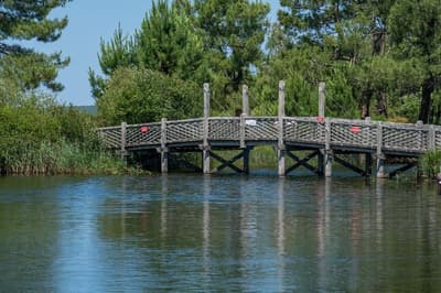 Residence Odalys Du Port