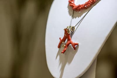 Amadria Park Hotel Ivan