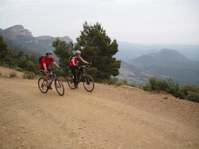 Monestir de les Avellanes Meeting and Ecoresort