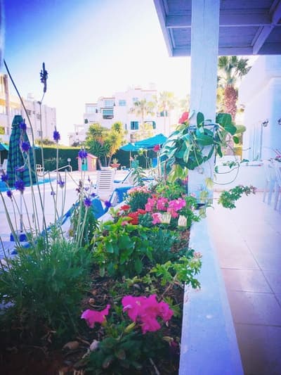 Blue Crane Hotel Apts