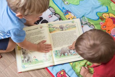 Best Western Plus Park Hotel