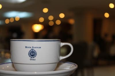 Buyuk Sahinler Hotel